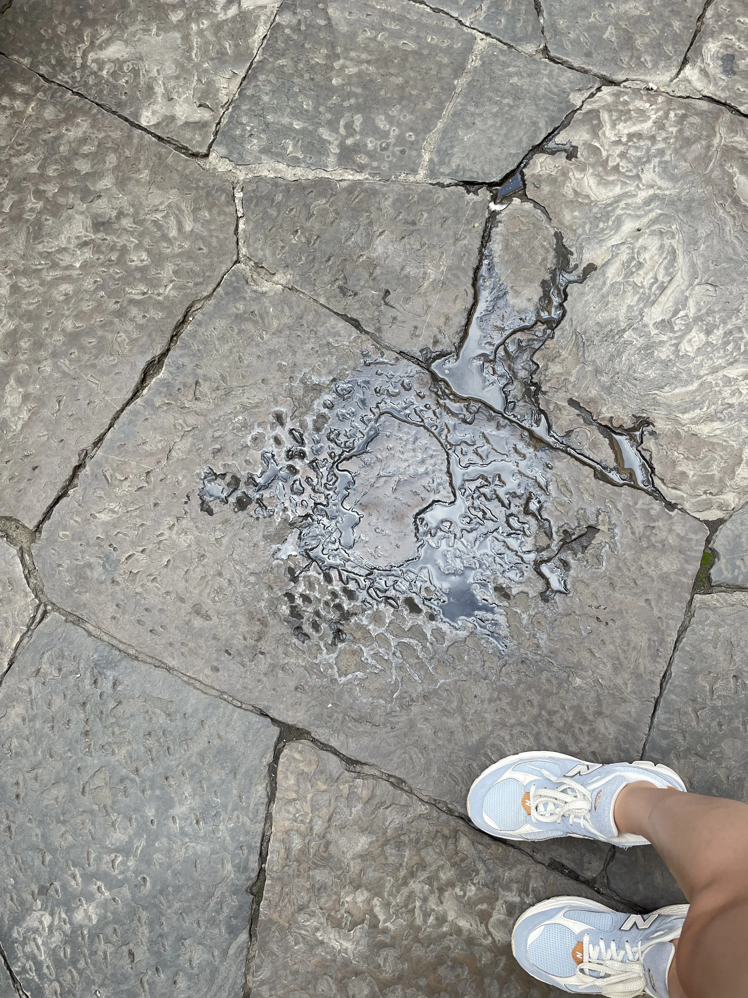 Тиснение с профилем Данте Алигьери