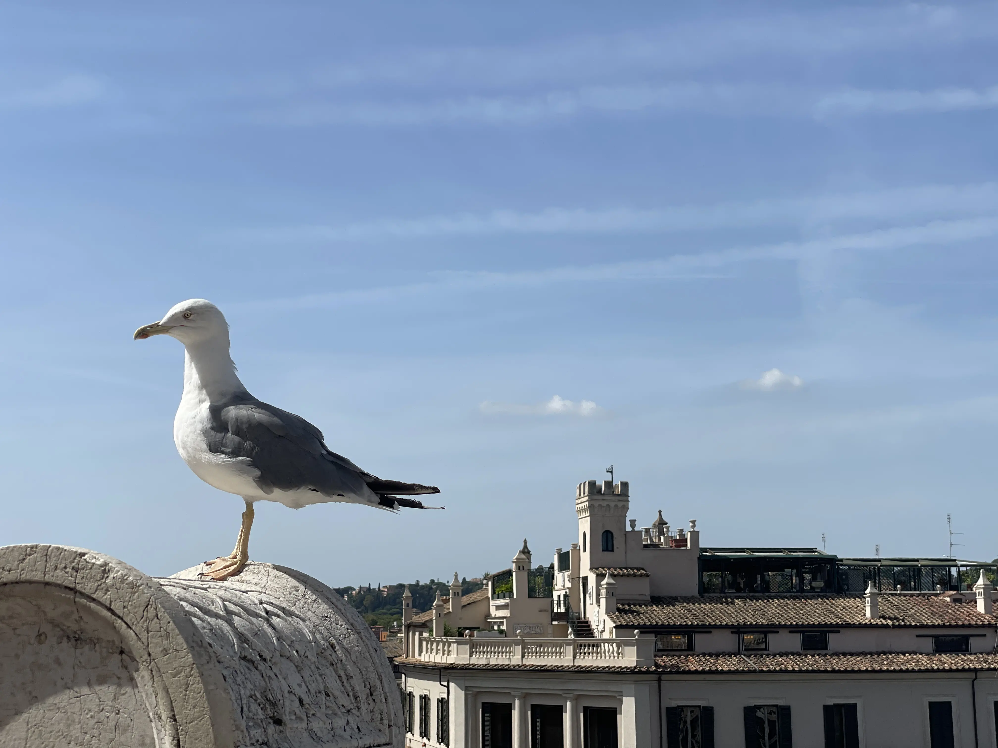 Виаджо Итальяно 🇮🇹 Часть 4: Рим: Главная модель империи